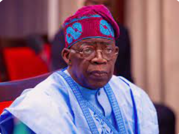 Tinubu’s 50-member emergency teams get six months to rescue economy