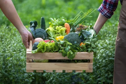 Farm-to-Table Movement: Supporting Local Farmers and Sustainable Agriculture