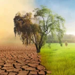 Impact of Climate Change on Global Agriculture: Insights and Solutions